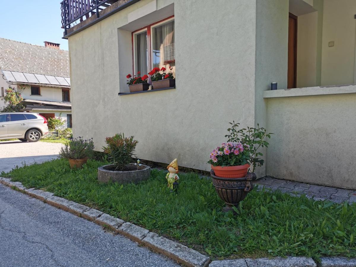 Apartma Rekar - A House, Where You Can Relax In The Embrace Of Nature Jesenice Exterior photo